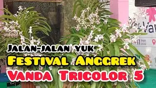 Jalan-jalan ke Festival Anggrek Vanda Tricolor 5 Jogja
