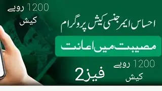 Ehsaas Emergency Cash Program Phase 2    Ehsaas pr720P HD