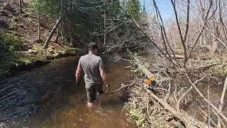A Day by the Creek&mdash;Off Grid Life in Nova Scotia