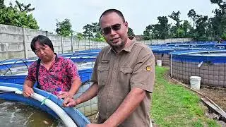 Dr Romi Novriadi research using corn DDGS for Tilapia