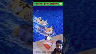 Kutkut And Kukuru Competition 🥰#cute #viral #shorts #pets