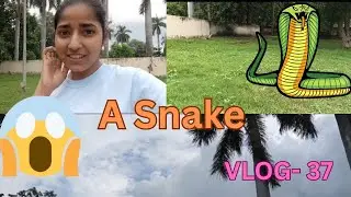 😱 I Saw a Snake 🐍, #vlog-37, #dailyvlogging, I Am Scared!!!!! .