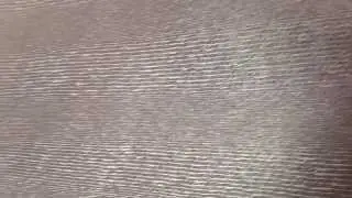 Абачи Змеиное дерево