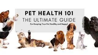 Pet Health 101 | The Ultimate Guide For Keeping Your Pet Healthy and Happy!