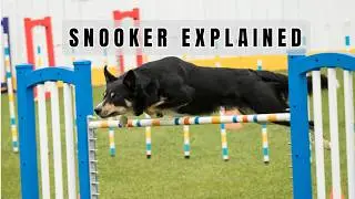 How to play Snooker in Agility