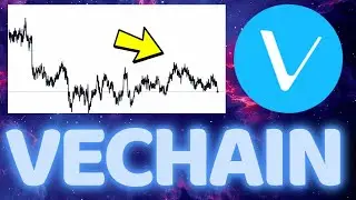 VECHAIN THE BIGGEST SLEEPING GIANT IN CRYPTO! | VECHAIN PRICE ANALYSIS | CRYPTO NEWS | BITCOIN