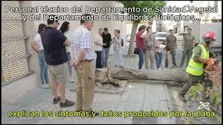 Encuentro t&eacute;cnico. Motril 5 de junio