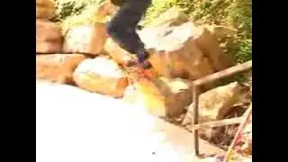DIRTY AL // DIRTY BEARINGS