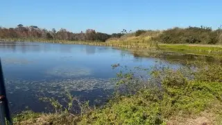 Searching for big bass in new ponds!