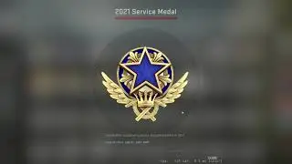 Counter Strike Global Offensive - getting the level 3 (blue) 2021 service medal
