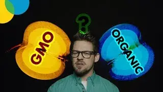 GMO vs. Organic: Fake News?