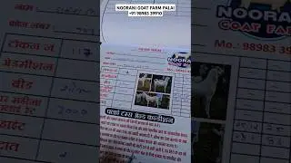 Noorani Goat Farm Palai Result&hearts;️ #bakraeid #bakraeid2025 #bakraeidspecial #bakra #goats #trending