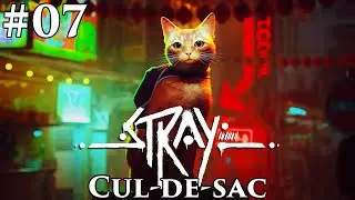 [PC] Stray #07 : Cul-de-sac