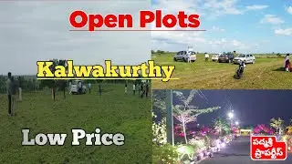 Srisailam highway in Open plots for sale | Kalwakurthy | Low price plots sale | Padmasree Properties