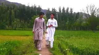 Our Vines / Salarzai Vines / Bajaur Vines / Lewani Vines / Buner Vines / PK Vines