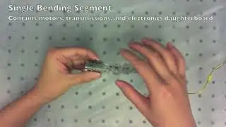 Modular Continuum Robotic Endoscope Design and Path Planning