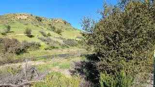 Spring stream in Limestone Canyon Regional park