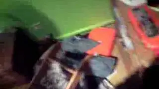 gary sleeping