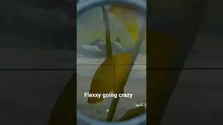 someone let FLEXXY out of his cage #dayz #therealflexxy