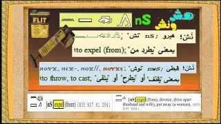 نش   ⲛⲉϫ🫧  = هيرو   nS 