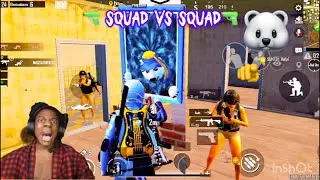 #pubm/bgmi🫡 bear Frank🐻&zwj;❄️🎮gameplay 