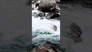 #naturesoul