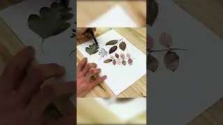 Watercolor Leaves Painting #shorts