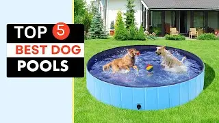 Best Dog Pools on a Budget &ndash; Affordable and Durable Choices! foldable dog pool