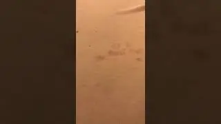 Grosse fumer une cigarette &eacute;lectronique