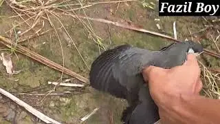 Forest Life: Bird Catching Skills from Remote Areas