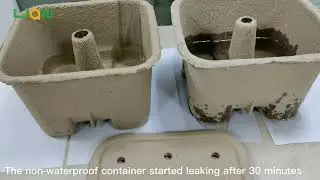 Waterproof Test | Lian Pack Molded Pulp Packaging