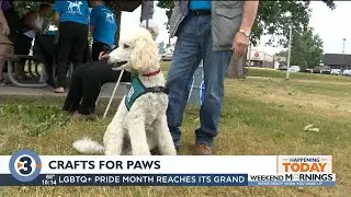 Crafts for Paws provides free seeing-eye dogs to visually impaired