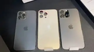 iPhone 13 Pro Max Gold vs Graphite vs 12 Pro Max vs 11 Pro Max Aesthetic Comparison