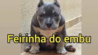 Feirinha do embu das artes #Domingão