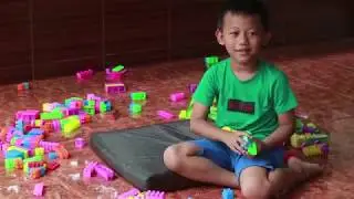 Bermain mainan anak lego, lego rumahan, lego mobilan bersama video kartun lumba lumba lucu