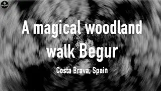 A magical woodland walk  Begur (Costa Brava, Spain).