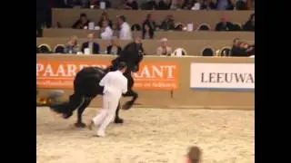 KFPS Stallion Show 2014