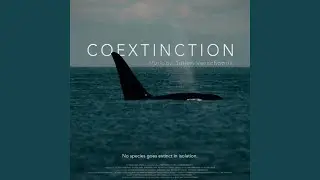 Coextinction