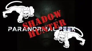 The Shadow Hunter: Police Search for the Phantom Big Cat Caught on Video