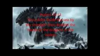 The Marine Kingdom