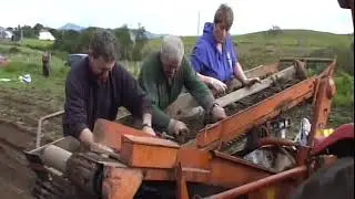 Digging potatoes in Glenvar
