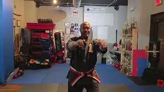 Pattern 4 of 8 Circle system Shorei Goju Ryu 