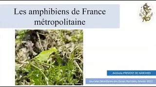 Conf&eacute;rence 7 : Les amphibiens de France m&eacute;tropolitaine, par Anthony Prevost de Harchies