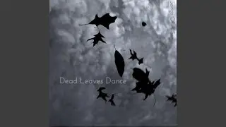 Dead Leaves Dance