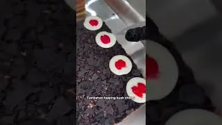 Pecinta cokelat, merapat! 🍒🍫Lapis Legit Blackforest datang dengan Wijsman, Callebaut, cherry,