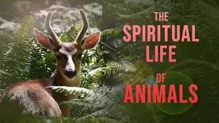 Linda Bender: Mind Body Spirit Expo