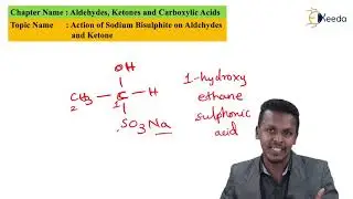 Action of Sodium Bisulphite on Aldehydes and Ketone