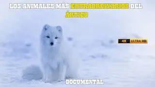 EL &Aacute;RTICO: Para&iacute;so de ANIMALES Ex&oacute;ticos y LEGENDARIOS | DOCUMENTAL COMPLETO