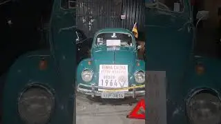 Museu 