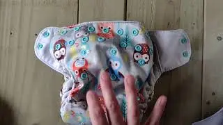 Blueberry cloth diaper review